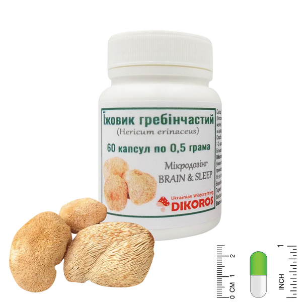 Microdosing Brain & Sleep Hedgehog comb (Hericium erinaceus) 60 capsules 0,5g