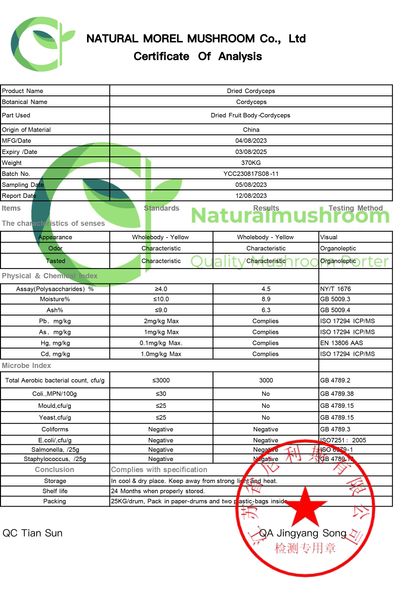 Микродозинг Power+  Кордицепс военный (Cordyceps militaris) 120 капсул по 0,5 г КК-6005 — Dikoros