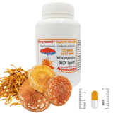 Sport MIX of red amanita (Amanita muscaria) and Cordyceps military (Cordyceps militaris) 60 capsules of 0.5 grams each МХМС-1205 фото — Dikoros