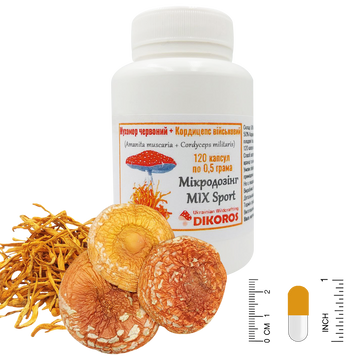 Microdosing MIX Sport of red amanita (Amanita muscaria) and Cordyceps military (Cordyceps militaris) 120 capsules of 0.5 grams each МХМС-1205 — Dikoros