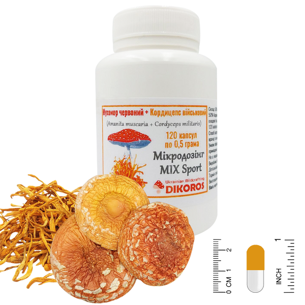 Microdosing MIX Sport of red amanita (Amanita muscaria) and Cordyceps military (Cordyceps militaris) 120 capsules of 0.5 grams each МХМС-1205 — Dikoros