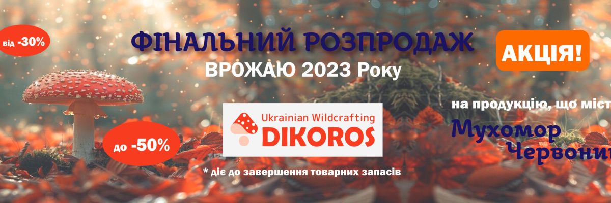 Акція! Фінальний розпродаж червоного мухомору врожаю 2023 року!