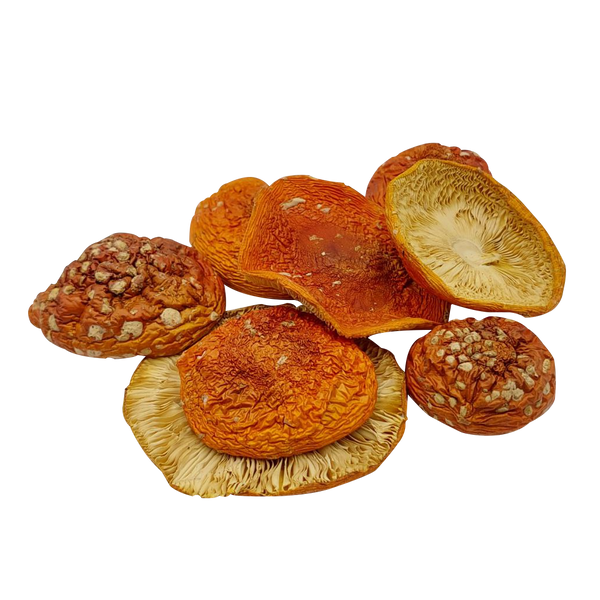 Шляпки мухомору червоного (Amanita muscaria) сушені - 50грам МХМЧ-50С24 — Dikoros