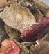 Сироїжка їстівна (Russula vesca) сушена - 100 грам СС-01С фото 1