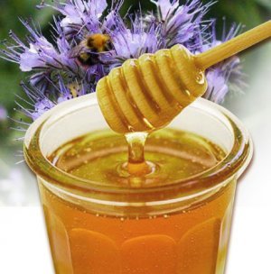 Phacelium honey - 1 liter