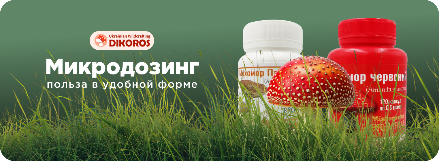 микродозинг мухоморов