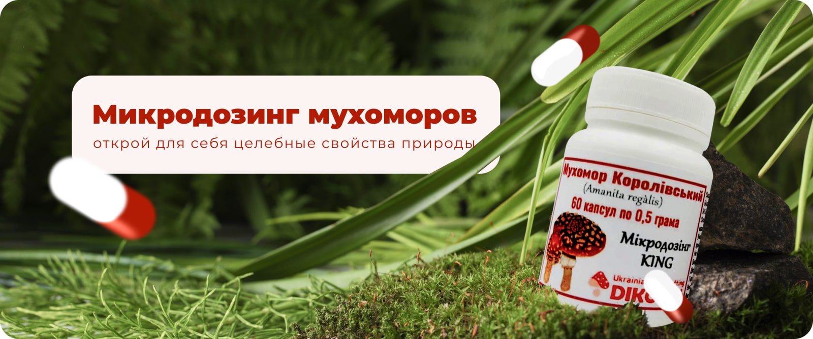 купить мухоморы Дикорос