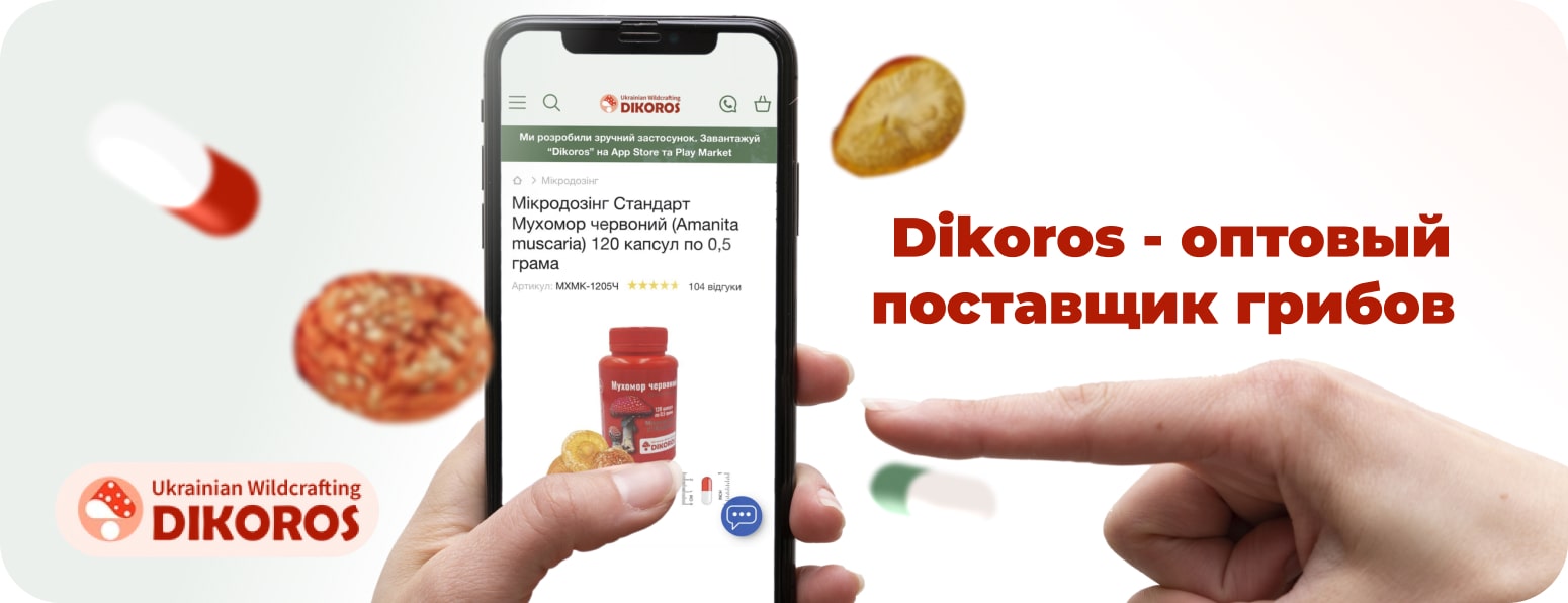 Мухомор оптом в Дикоросе