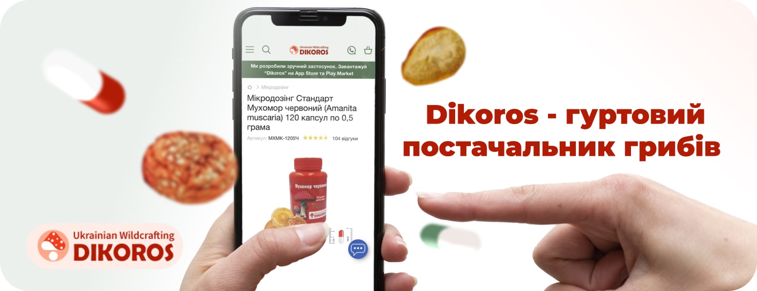 Мухомор оптом в Дикорос