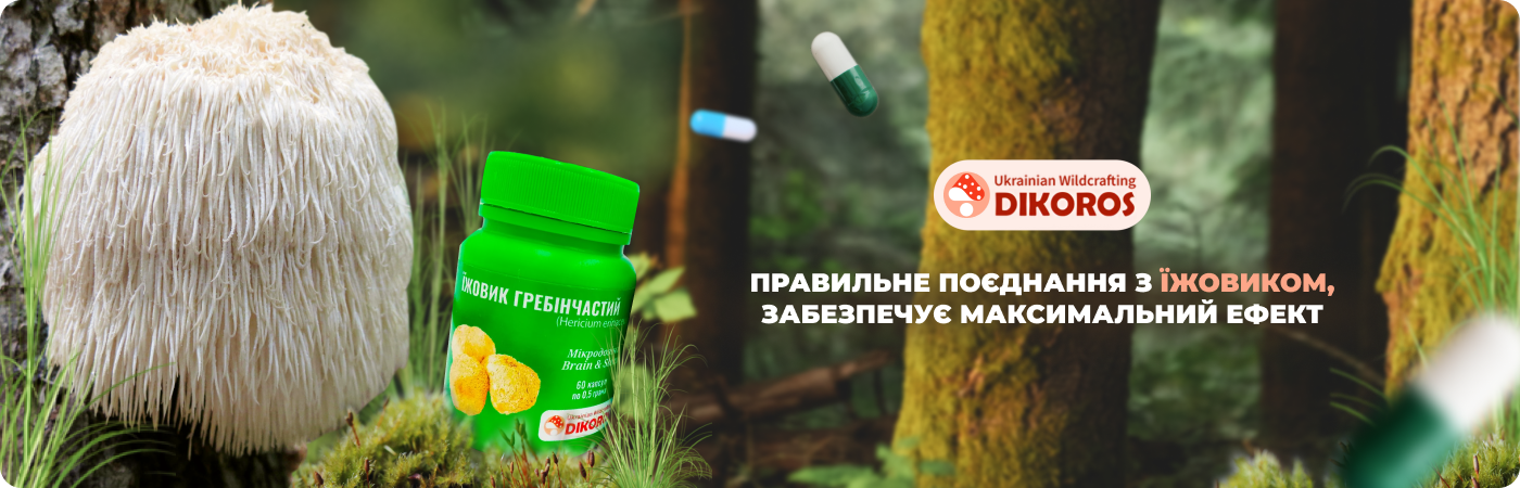 Купити мікродозинг їжовик гребінчастий у виробника Dikoros